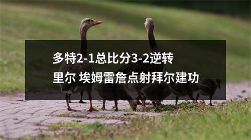 多特2-1总比分3-2逆转里尔 埃姆雷詹点射拜尔建功