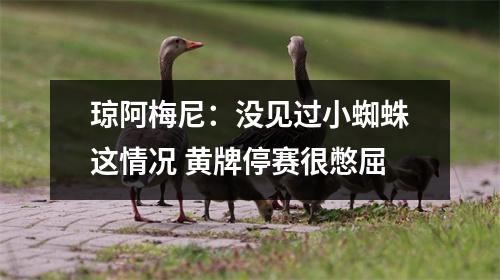 琼阿梅尼：没见过小蜘蛛这情况 黄牌停赛很憋屈
