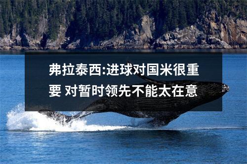 弗拉泰西:进球对国米很重要 对暂时领先不能太在意