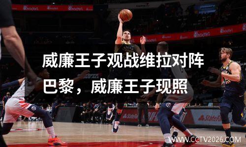威廉王子观战维拉对阵巴黎，威廉王子现照