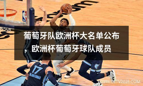 葡萄牙队欧洲杯大名单公布，欧洲杯葡萄牙球队成员