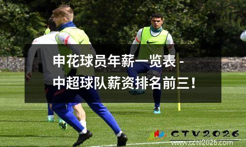 申花球员年薪一览表 - 中超球队薪资排名前三！