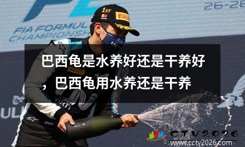 巴西龟是水养好还是干养好，巴西龟用水养还是干养