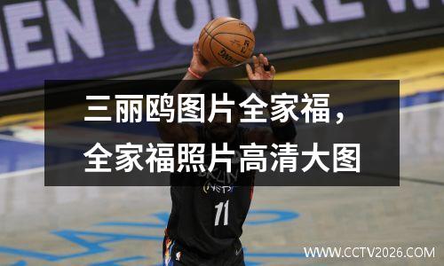三丽鸥图片全家福，全家福照片高清大图