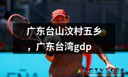 广东台山汶村五乡，广东台湾gdp