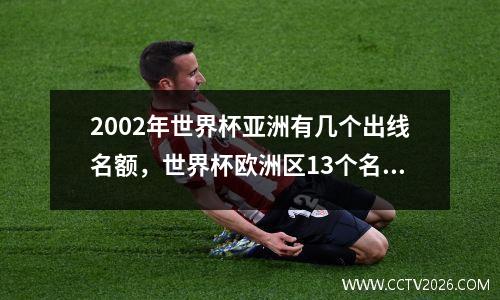 2002年世界杯亚洲有几个出线名额，世界杯欧洲区13个名额出线规则