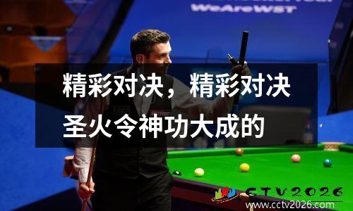 精彩对决，精彩对决圣火令神功大成的