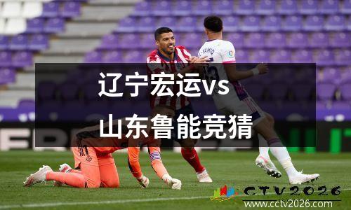 辽宁宏运vs山东鲁能竞猜