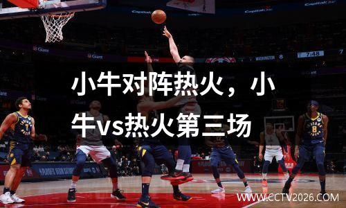 小牛对阵热火，小牛vs热火第三场