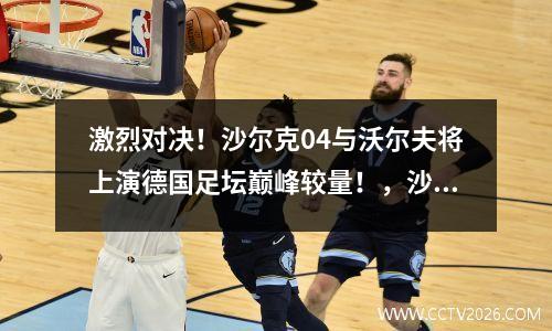 激烈对决！沙尔克04与沃尔夫将上演德国足坛巅峰较量！，沙尔克04对德累斯顿比赛结果