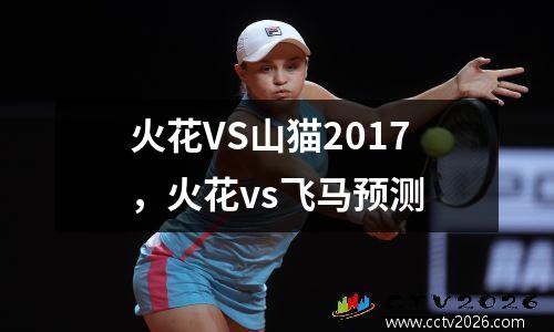 火花VS山猫2017，火花vs飞马预测
