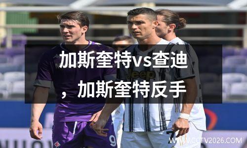 加斯奎特vs查迪，加斯奎特反手
