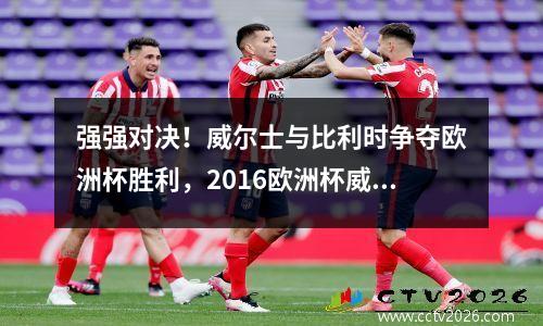 强强对决！威尔士与比利时争夺欧洲杯胜利，2016欧洲杯威尔士vs比利时比分