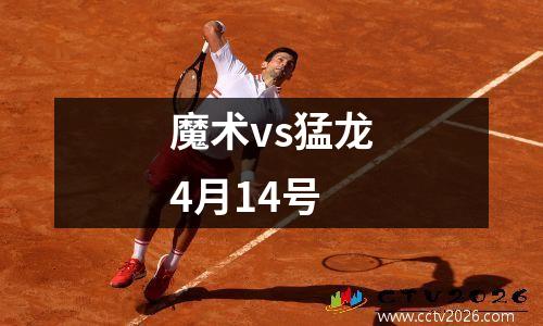魔术vs猛龙4月14号
