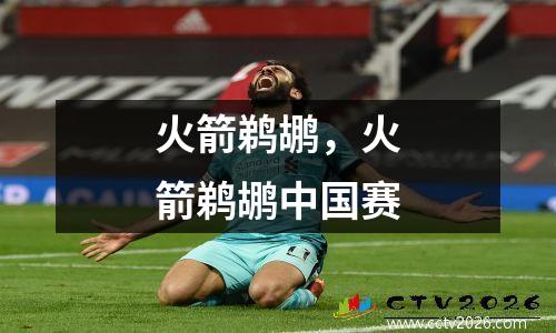 火箭鹈鹕，火箭鹈鹕中国赛