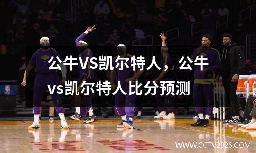 公牛VS凯尔特人，公牛vs凯尔特人比分预测