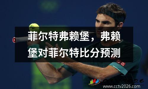 菲尔特弗赖堡，弗赖堡对菲尔特比分预测