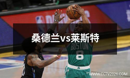 桑德兰vs莱斯特