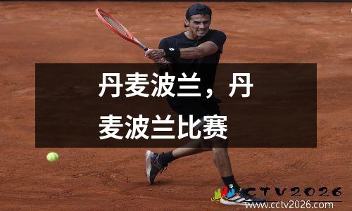 丹麦波兰，丹麦波兰比赛