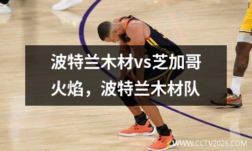 波特兰木材vs芝加哥火焰，波特兰木材队