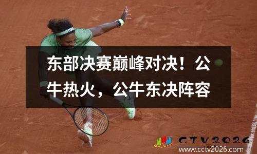 东部决赛巅峰对决！公牛热火，公牛东决阵容