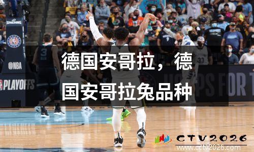 德国安哥拉，德国安哥拉兔品种