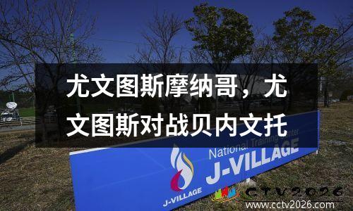 尤文图斯摩纳哥，尤文图斯对战贝内文托