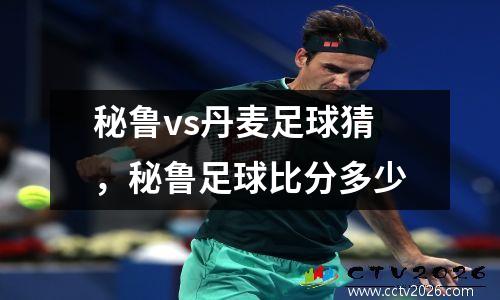 秘鲁vs丹麦足球猜，秘鲁足球比分多少