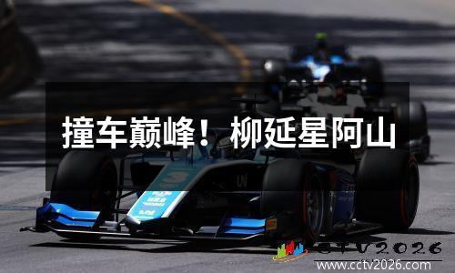 撞车巅峰！柳延星阿山