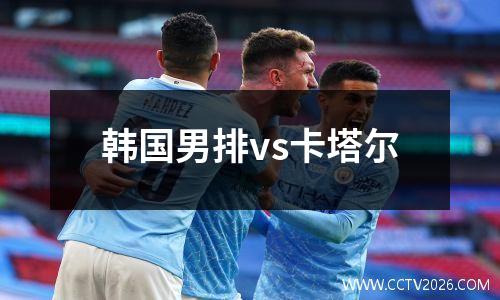 韩国男排vs卡塔尔