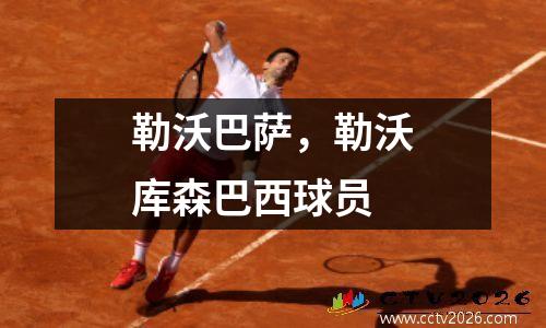 勒沃巴萨，勒沃库森巴西球员