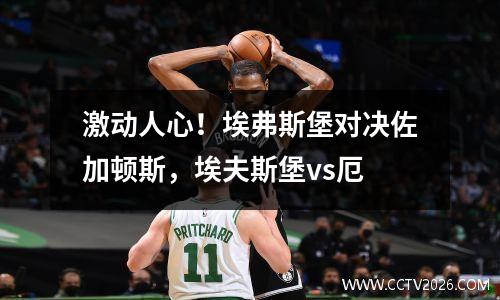 激动人心！埃弗斯堡对决佐加顿斯，埃夫斯堡vs厄