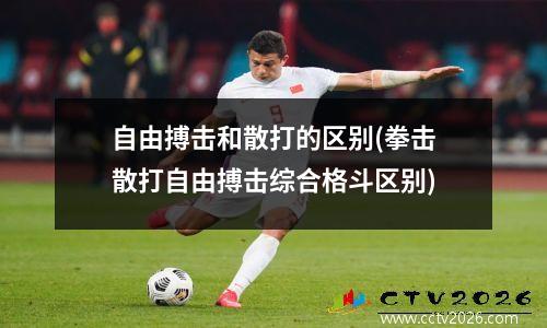 自由搏击和散打的区别(拳击散打自由搏击综合格斗区别)