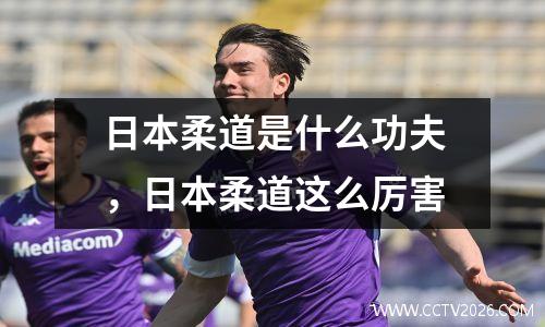 日本柔道是什么功夫，日本柔道这么厉害