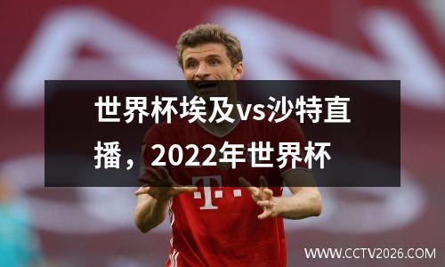 世界杯埃及vs沙特直播，2022年世界杯