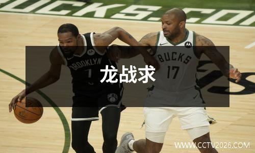 龙战求