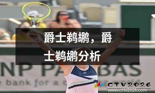 爵士鹈鹕，爵士鹈鹕分析
