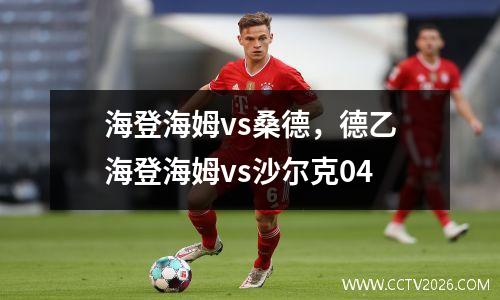 海登海姆vs桑德，德乙海登海姆vs沙尔克04