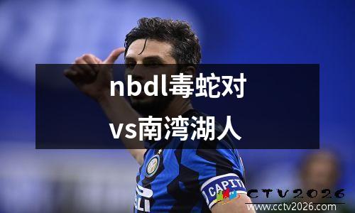 nbdl毒蛇对vs南湾湖人