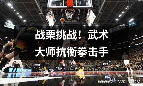 战栗挑战！武术大师抗衡拳击手