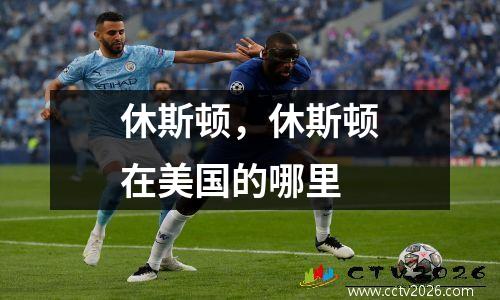休斯顿，休斯顿在美国的哪里