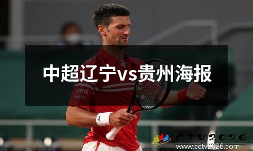 中超辽宁vs贵州海报