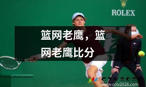 篮网老鹰，篮网老鹰比分