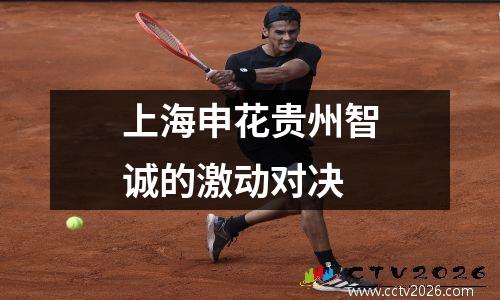 上海申花贵州智诚的激动对决