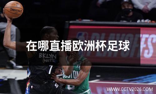 在哪直播欧洲杯足球