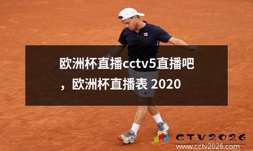 欧洲杯直播cctv5直播吧，欧洲杯直播表 2020