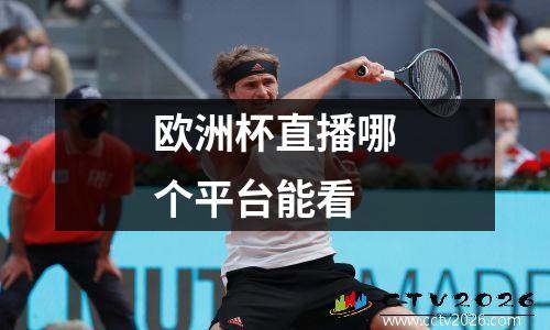 欧洲杯直播哪个平台能看