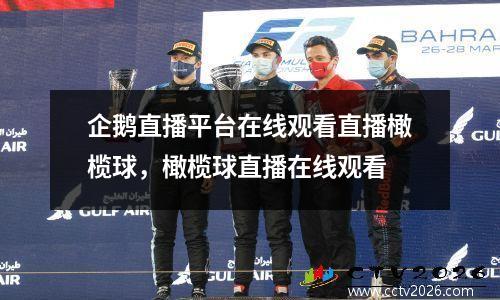 企鹅直播平台在线观看直播橄榄球，橄榄球直播在线观看