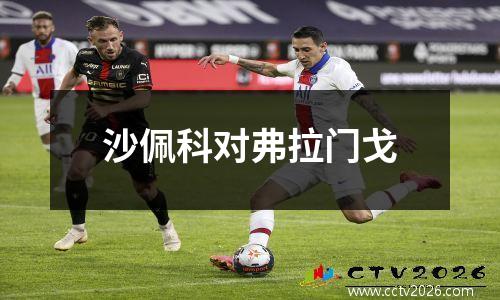 沙佩科对弗拉门戈