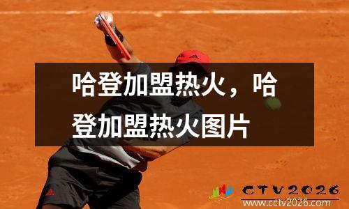 哈登加盟热火，哈登加盟热火图片